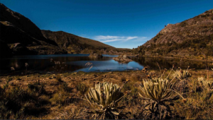 Páramo de Santurbán